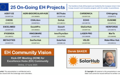 DxHub joined the Excellence Hubs Community
