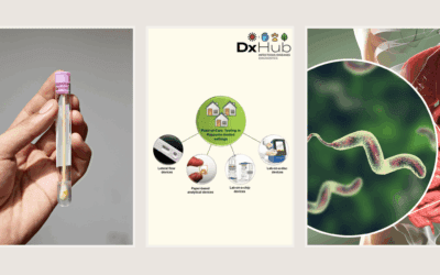 Early Detection and Prevention of Disease Outbreaks in Crete: A Stakeholder-Focused Public Health Initiative