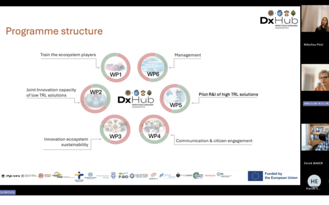 From an Idea to a European Innovation Hub
