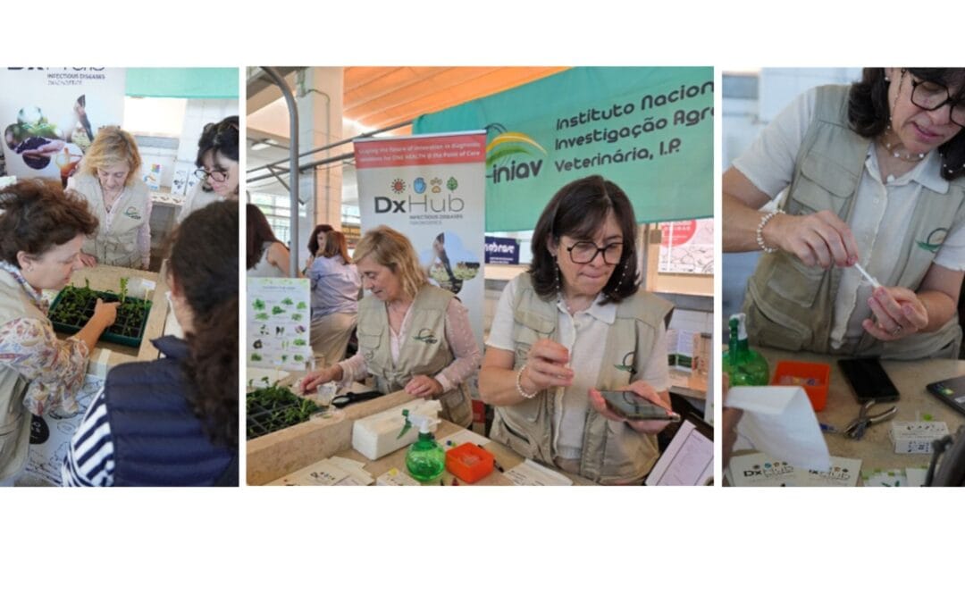 DxHub Brings Portable Plant Disease Diagnostics to International Plant Fascination Day 2026